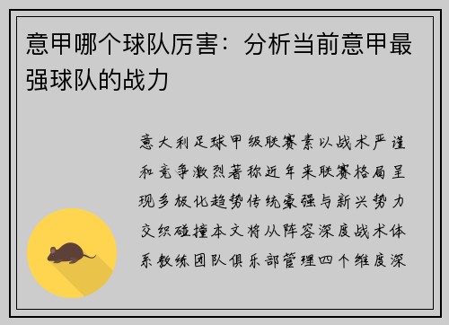 意甲哪个球队厉害：分析当前意甲最强球队的战力