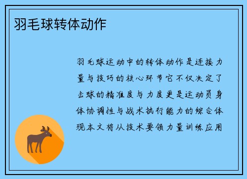 羽毛球转体动作